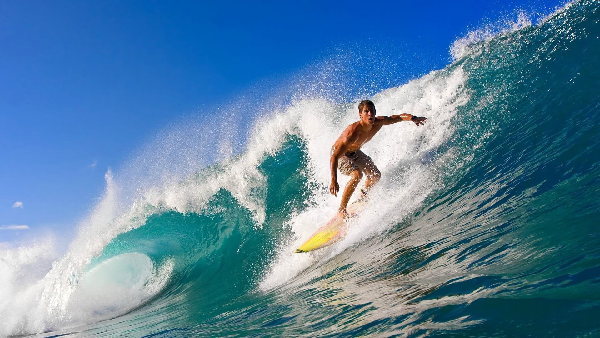 详细阅读:九游体育网页入口-WRC动力系统革新:节能与性能的完美结合,wrc赛车动力分配 九游体育网页入口-WRC动力系统革新:节能与性能的完美结合,wrc赛车动力分配